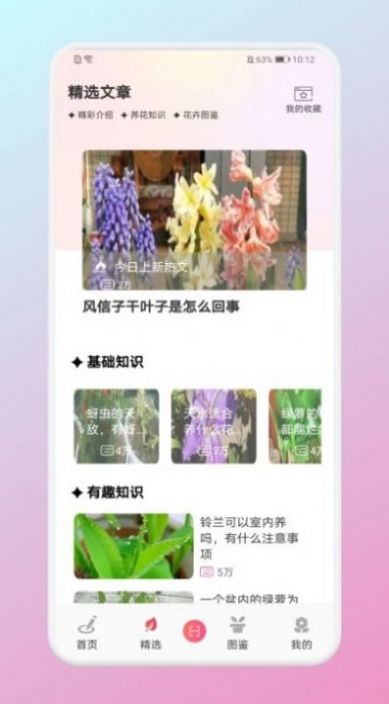 养花大掌柜免费原版