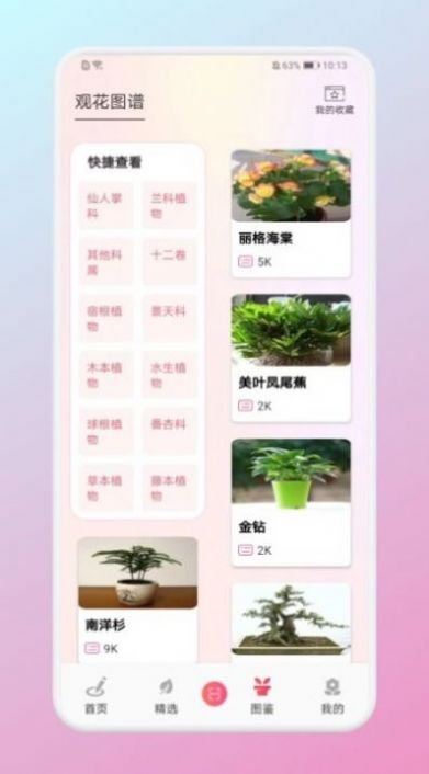 养花大掌柜免费原版