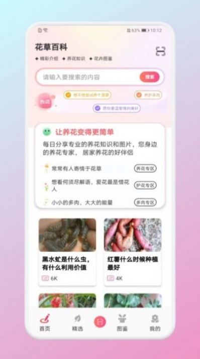 养花大掌柜免费原版