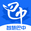 巴事办手机免费版