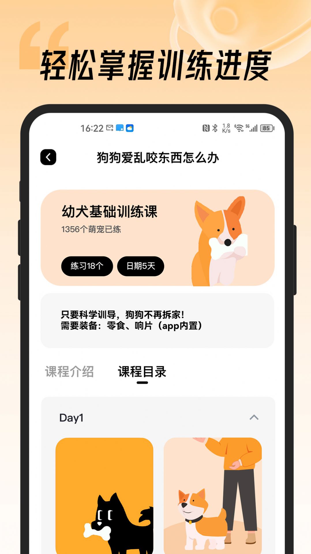 宠物记通用版(2)