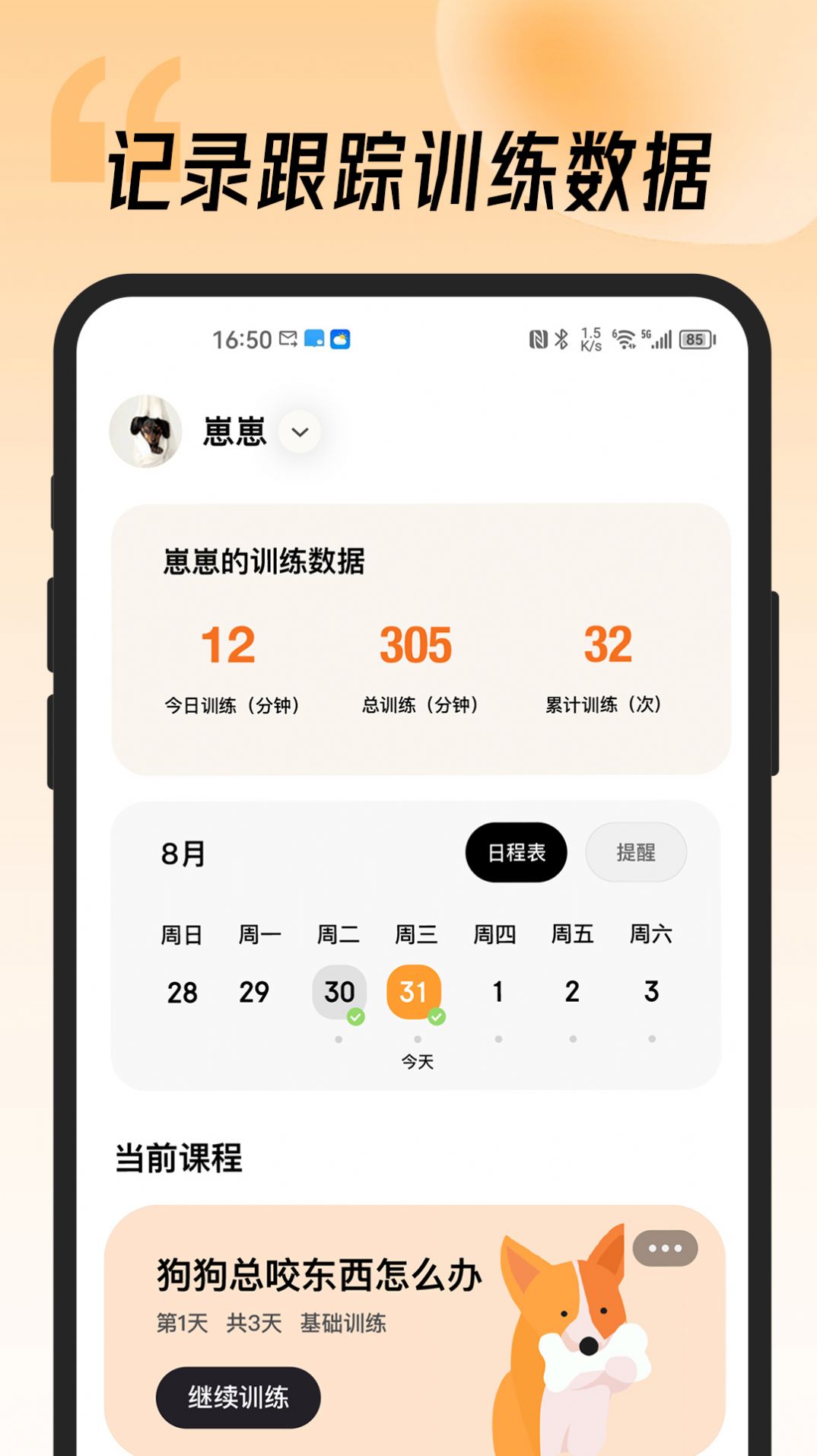 宠物记通用版(3)