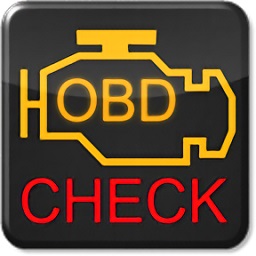 Torque车况大师中文版