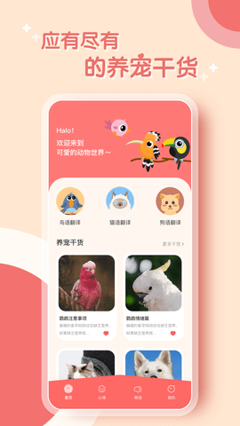 鹦鹉翻译器(2)