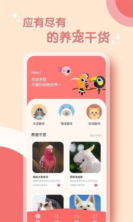 鸟语翻译器正版
