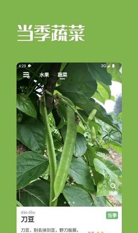 果蔬时节官方版图2