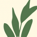 动植物之家正版