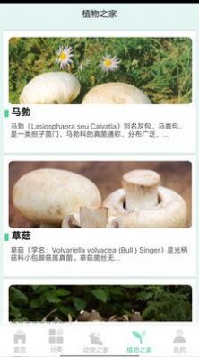 动植物之家安卓直装版