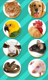 仓鼠叫声翻译器（Pet Translator）官方最新版图3
