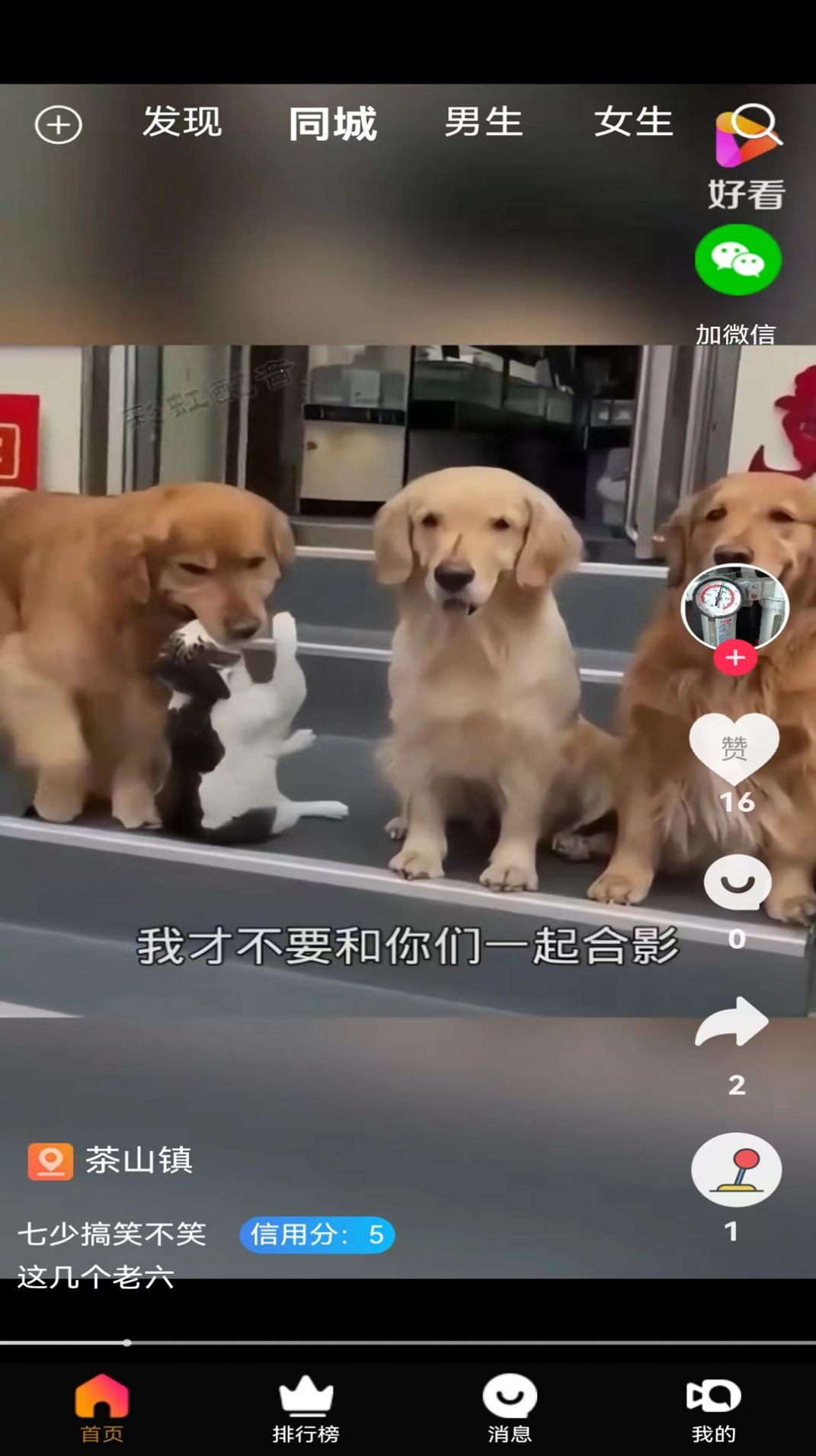 斗比短视频免费原版图3