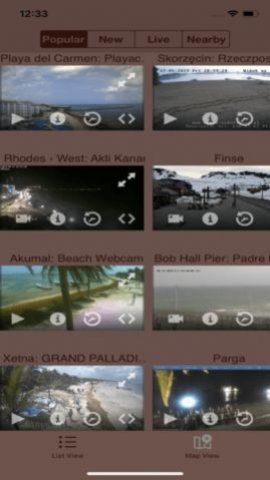 Live Camera Viewer软件