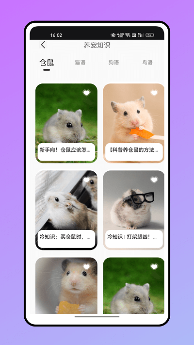 仓鼠翻译器图1