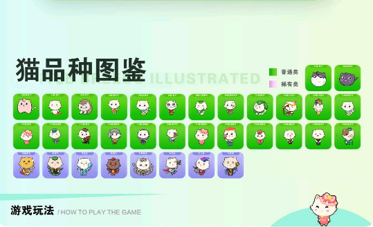 一起养猫咪红包版(2)