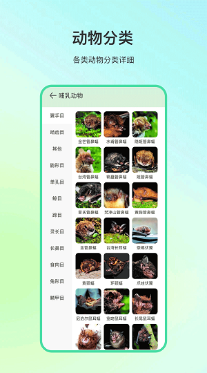动物百科手机免费版(3)