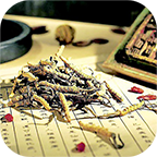中医秘方偏方最新免费版