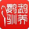 鹦鹉驯养免费版