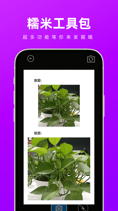 糯米工具包图2