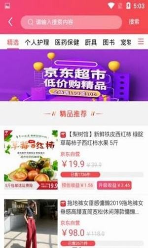 花鼠联盟图3