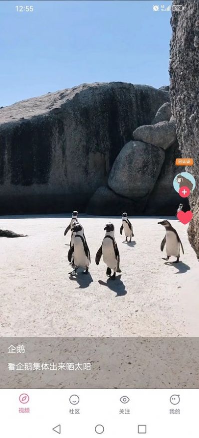 嘟嘟短视频手机免费版图2