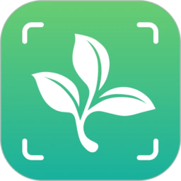 植物大师直装版