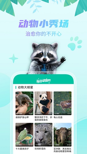 探奇动物界手机版图3