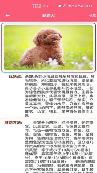 宠物宝宝大全通用版图1