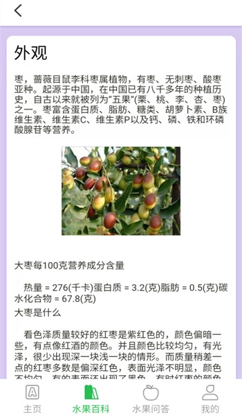 掌上果园直装版(2)