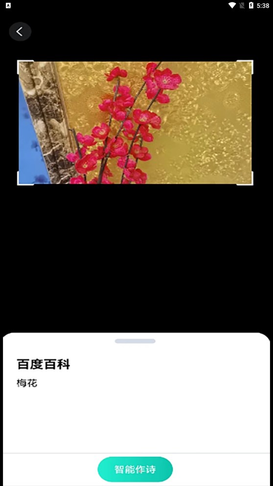 趣萌识别手机最新版图3