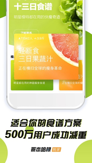 哥本哈根减肥安卓直装版图3