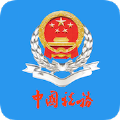 北京电子税务局手机正版