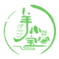 羊小宝最新免费版