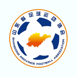 齐鲁足球直装版