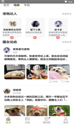 绵州犬管(2)