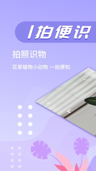 万图拍植物识别(3)