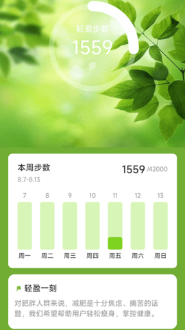 轻盈计步安卓版图3