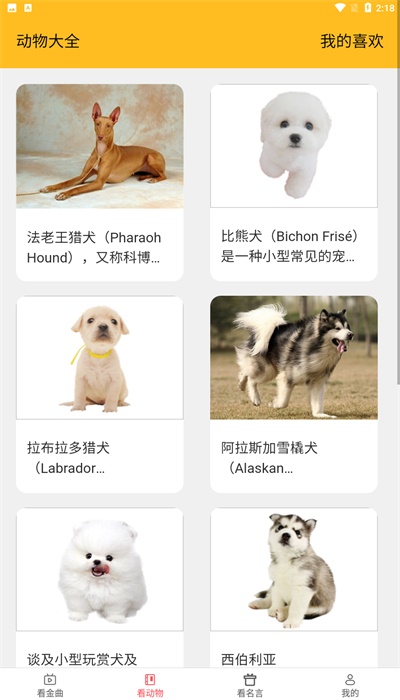 金牌聚看免费原版图2