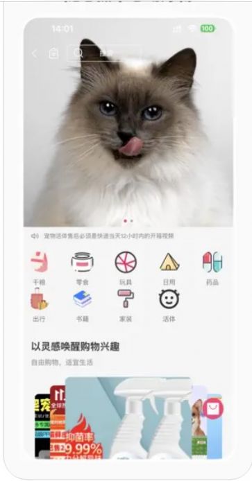 宠也正版图1