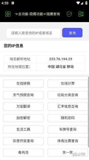枫叶社工手机免费版图4