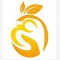 橙子直聘最新版