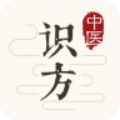 中医识方通用版