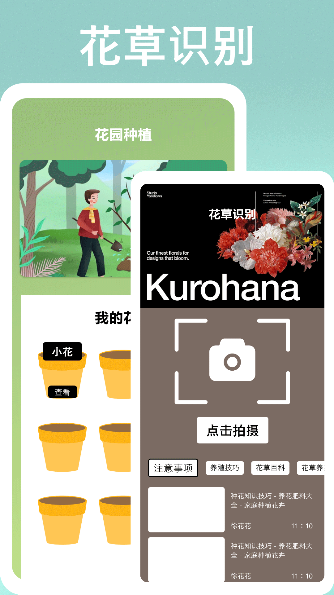 识物高手图1