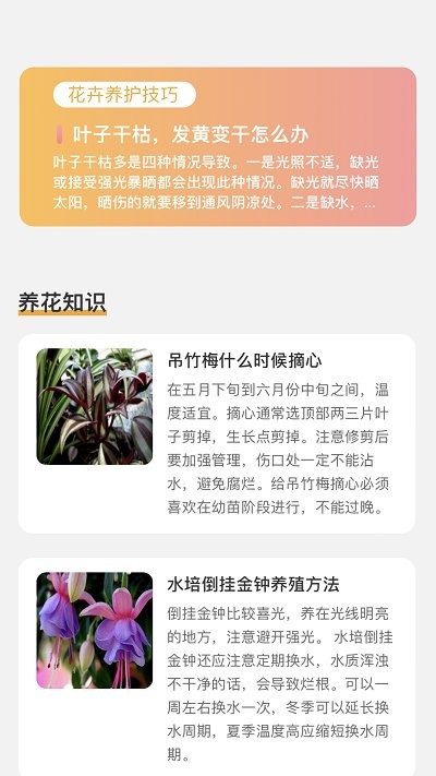 百花悦看手机免费版图1