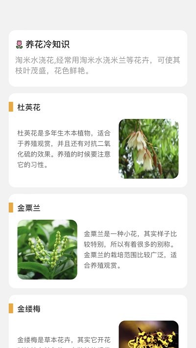 百花悦看手机免费版图2