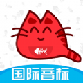 大猫英语国际音标免费原版