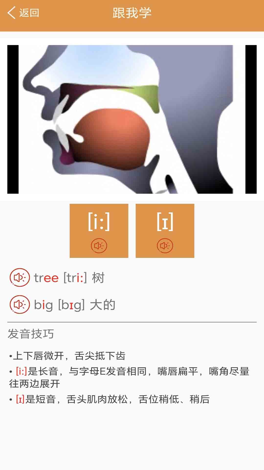 大猫英语国际音标免费原版图2