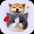 猫狗语宠物翻译器免费原版