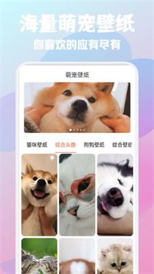 猫狗语宠物翻译器免费原版