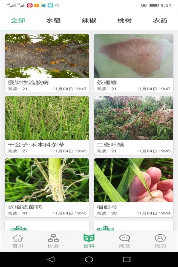 丰收课(2)