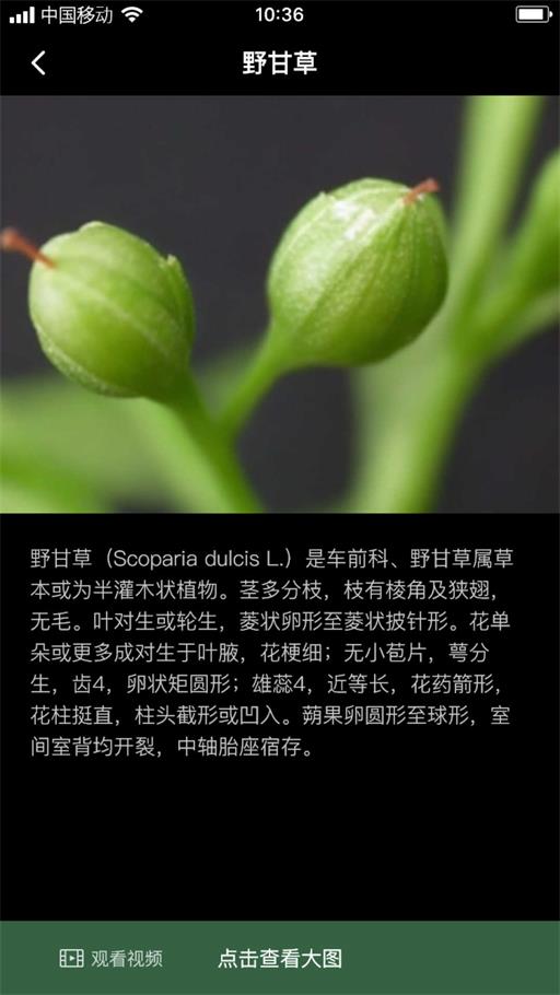 积学草手机版