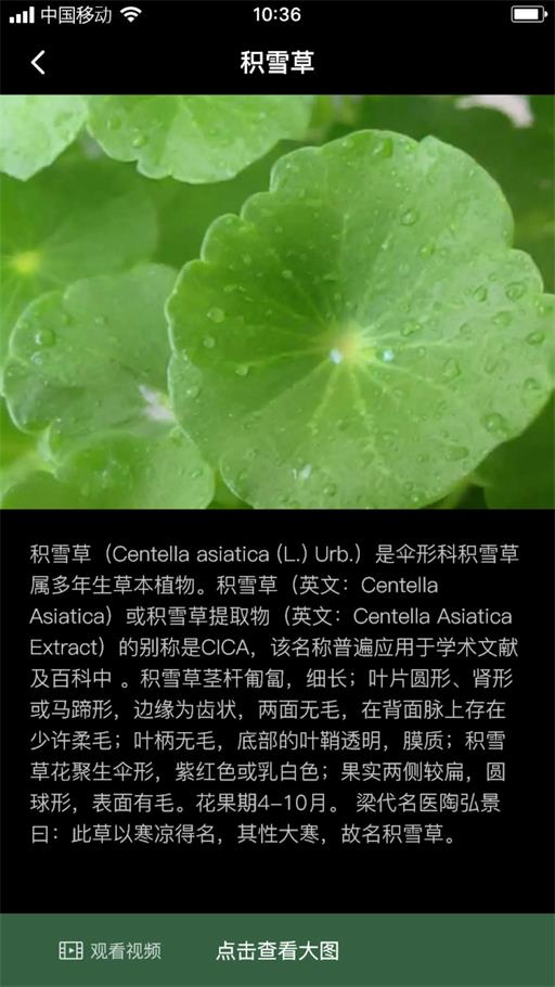 积学草手机版